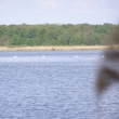 Bohdane�sk� rybn�k-rezervace