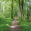 cyklostezka rezervac�